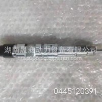 适用于博世柴油机发动机配件共轨喷油器总成0445120391/0445120391