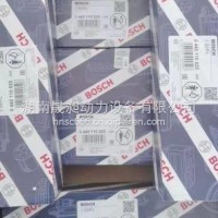 适用于全新共轨喷油器0986435248 0445110418/0445110520