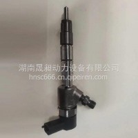 适用于柴油喷油器总成0445110527/0445110529