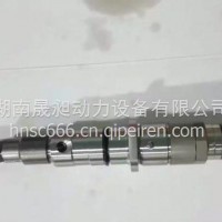 供应博世共轨喷油器0445120266潍柴喷油器总成 612640090012/0445120266