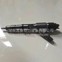 供应博世高压共轨喷油器0445120416/0445120416