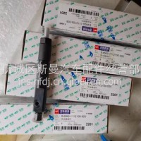 E4500-1112100-005玉柴YC4110国四电喷YC4E160单体泵自卸货车喷油嘴喷油器/E4500-1112100-005