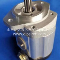 原厂正品转向助力泵/QC25/13-LT50