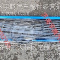 DZ14251110650陕汽德龙X5000E面罩格栅总成/DZ14251110650