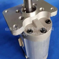 原厂正品转向助力泵/QC50/15-SY