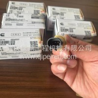 东风康明斯 B系列和D系列 / 福田康明斯 F系列 / 广西康明斯QSB系列发动机温度传感器 / 4954905F /通用件/4954905F