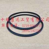东风龙擎DDi11缸套密封圈1002024-E9300 /1002024-E9300
