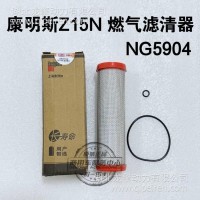 用于天龙旗舰天然气Z15N发动机 弗列加燃气滤清器NG5910/NG5904