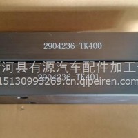 钢板尼龙挡板，侧挡板，耐磨板/2904236-TK400