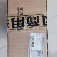 风神4H国五活塞/1004015-E1EC0