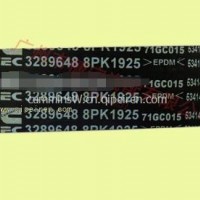 东风康明斯6CT发动机风扇皮带 8PK1925 C3289648/C3289648