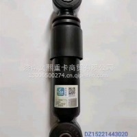 横向减震器/DZ15221443020