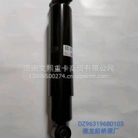 减震器总成/DZ96319680103