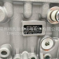 工厂直供高压油泵0402618813 柴油泵85530 00468C 柴油泵总成PE8P120A500/4LS7935/0402618813