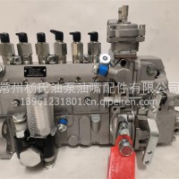 东风康明斯4063845挖机高压油泵101609-3760燃油泵101062-9310/4063845