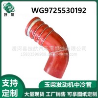 WG9725530192中国重汽亲人豪沃09中冷器管 WG9725530192/WG9725530192