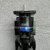 中联环卫压缩车双联齿轮泵/CBGNL-63/25-BFφ15L