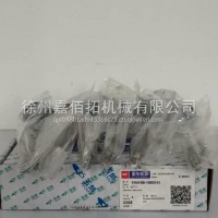 进气门/11N100-1003111