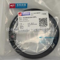 油封100X125/YC209-B100125PL