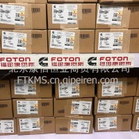 康明斯X13喷油器/5572006