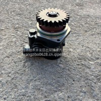 德龙P12助力泵/DZ95319130001