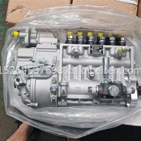 潍柴WP12/潍柴1003663923/CB6P1082D