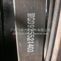 重汽后钢板/WG9925521403