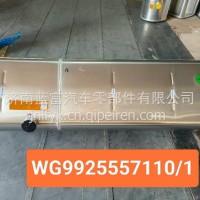 燃油箱/WG9925557110/1