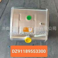 燃油箱/DZ91189553300