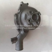 E2100-1307020G玉柴YC4110ZQ水泵 /E2100-1307020G