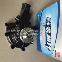 Z20180005潍柴扬子江锐动力WP3电喷发动机冷却水循环水泵 /Z20180005
