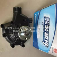 Z20180005潍柴扬子江锐动力WP3电喷发动机冷却水循环水泵 /Z20180005