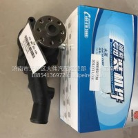 1000451738潍柴扬子江锐动力WP4.1发动机电喷循环水冷却水泵/1000451738