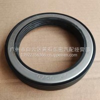 AX-0576后轮油封总成/3104080-TB08W