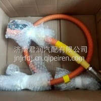 DZ96259781183陕汽德龙单芯高压线德龙电动车高压线新能源高压线/DZ96259781183