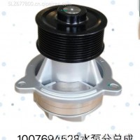 1007694528泵头（水泵分总成）/1007694528水泵分总成