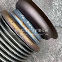 旗舰金属软管总成/1202010-HA432