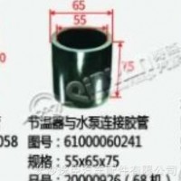 节温赛与水泵连接胶管/61000060241
