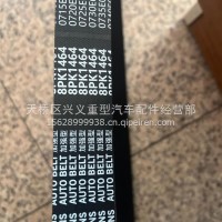 8PK1464 皮带 P10H/611600060038