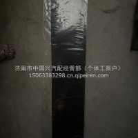 车门黑膜[左]/3921101-E18