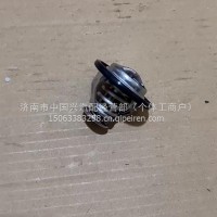 1306010-E00-0000青岛解放虎VH大王驾到发动机节温器调温器/1306010-E00-0000