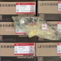 东风康明斯带线计量单元/0928400473