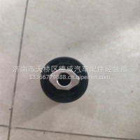 T5G反转衬套（塑料）/850-96210-0019