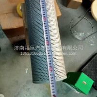 液压油滤清器 P173081/MF0065969/ 73170309 WG151 1717467/P173081