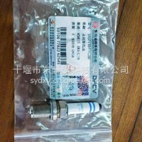 适用于东风龙擎DGi13燃气发动机火花塞/3707110-E9C00