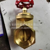 闸阀/DN100