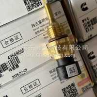适用于康明斯发动机水温传感器/4954905