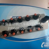 1003650716潍柴国六天然气460马力燃料计量喷射阀喷嘴总成/1003650716