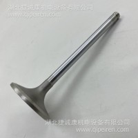 湖北捷诚康 康明斯原装配件 C8.3 进气门 G3802463 3924492 /G3802463 3924492