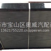 散热器总成/1301010-D242